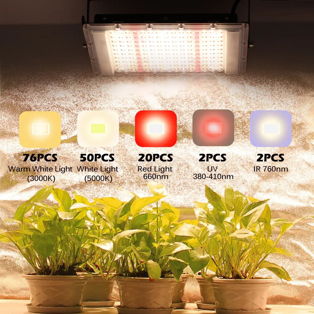 Luce di Crescita LED per Piante a Spettro Completo 380-840nm IP65 - 50W 100W 300W per Serra Indoor e Coltivazione